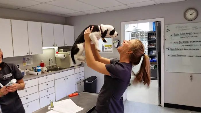 Upper Arlington Veterinary Hospital 7