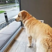 Upper Arlington Veterinary Hospital ico