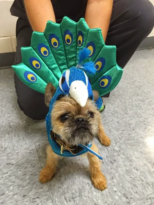 Upper Arlington Veterinary Hospital 3