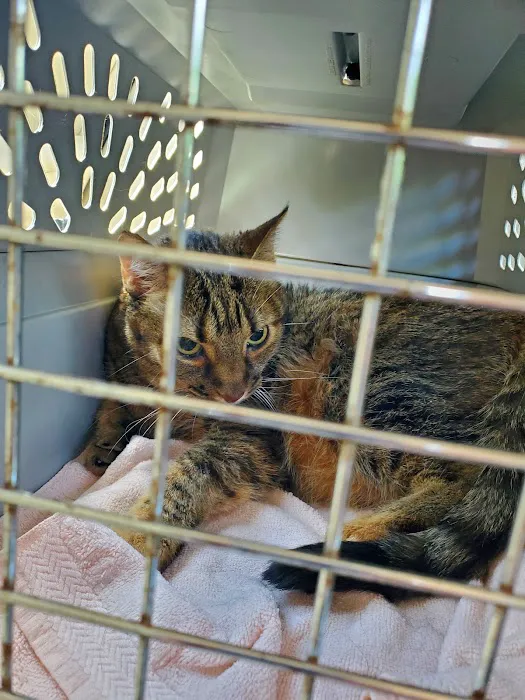 Health & Harmony Animal Hospital 12