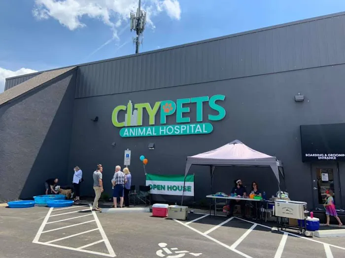 CityPets614 Animal Hospital 12