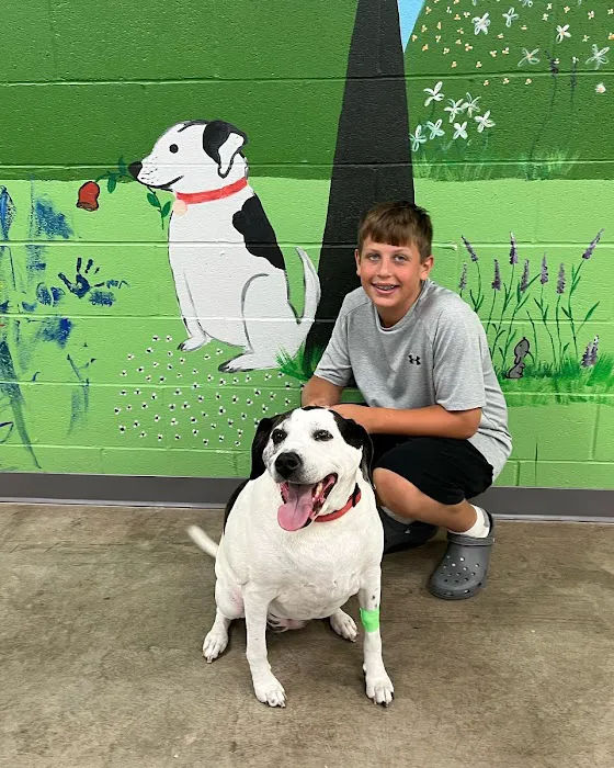 CityPets614 Animal Hospital 12