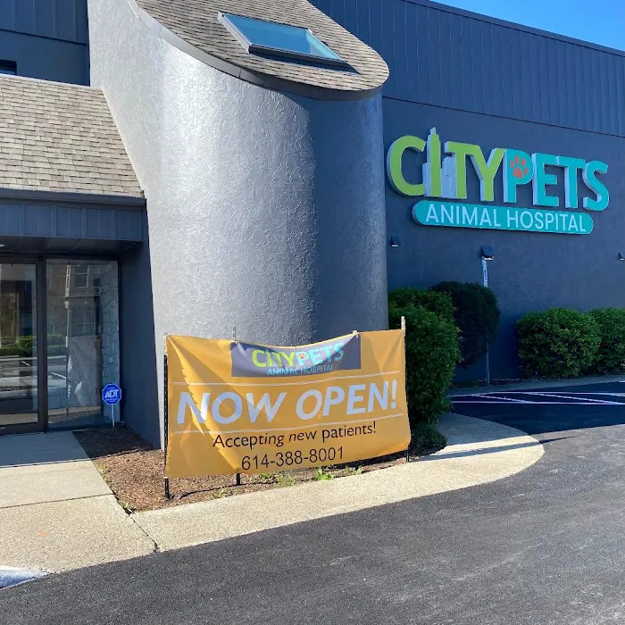 CityPets614 Animal Hospital 12