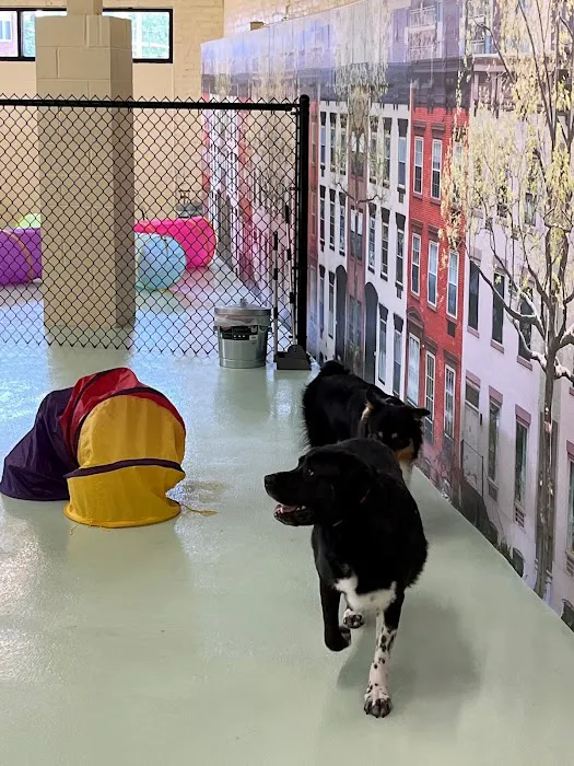 CityPets614 Animal Hospital 12