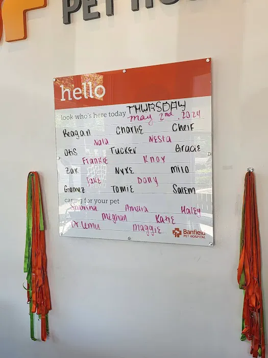 Banfield Pet Hospital 7