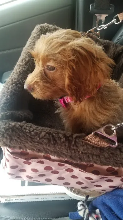 Banfield Pet Hospital 6