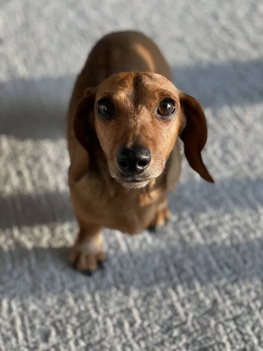 Banfield Pet Hospital 8