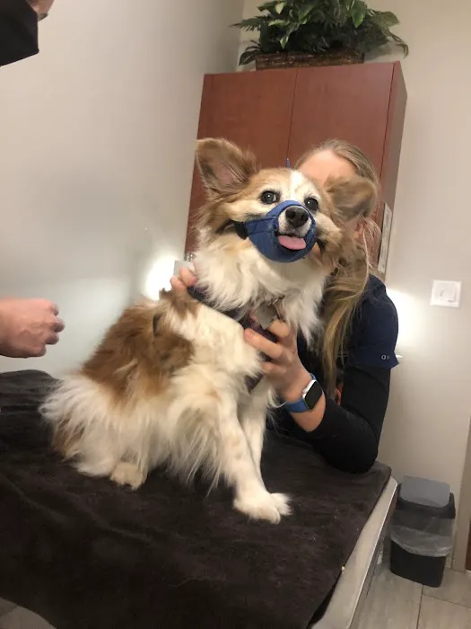 St Francis Animal Hospital 8