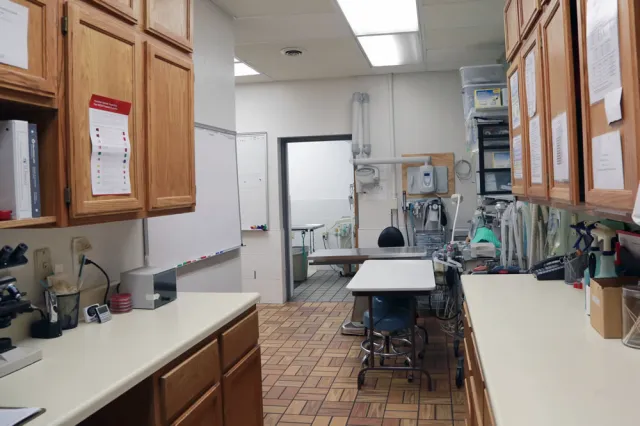 St Francis Animal Hospital 9