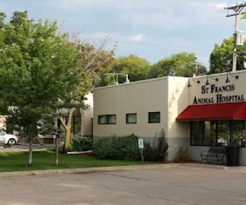 St Francis Animal Hospital