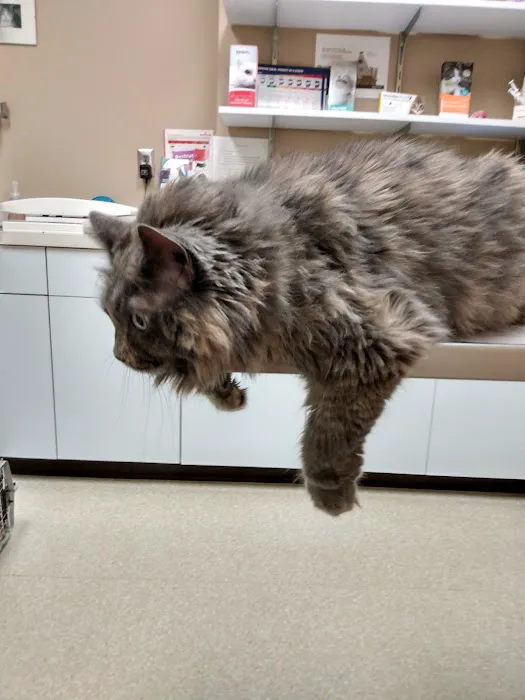 Midway Animal Hospital 12