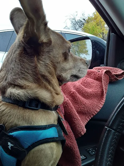 VCA Feist Animal Hospital 1