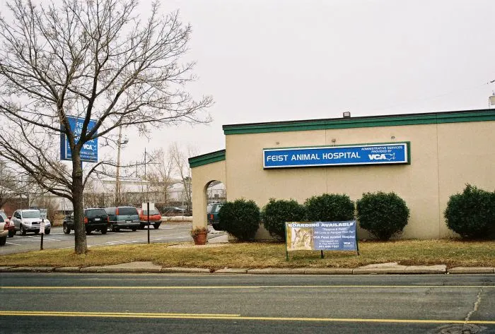 VCA Feist Animal Hospital 7