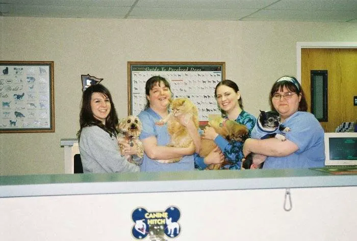 VCA Feist Animal Hospital 10