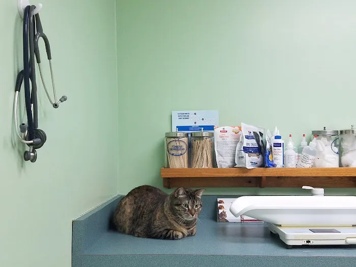 VCA Feist Animal Hospital 2