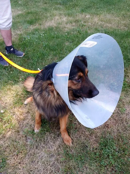 Humane Fort Wayne Spay/Neuter Clinic & Specialized Services 4