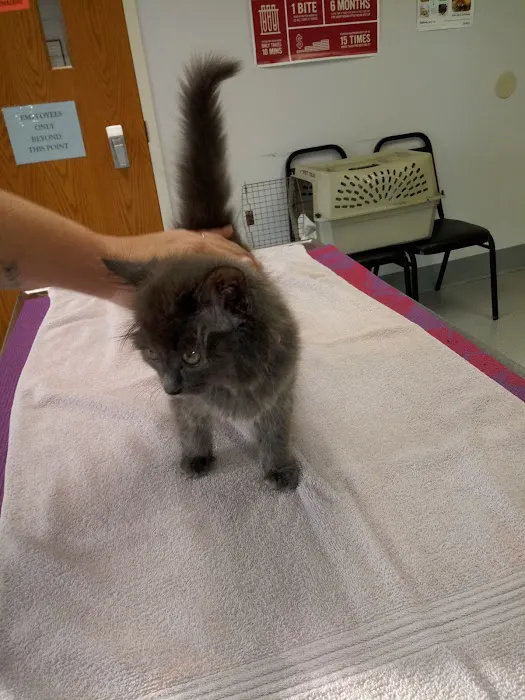 Humane Fort Wayne Spay/Neuter Clinic & Specialized Services 7