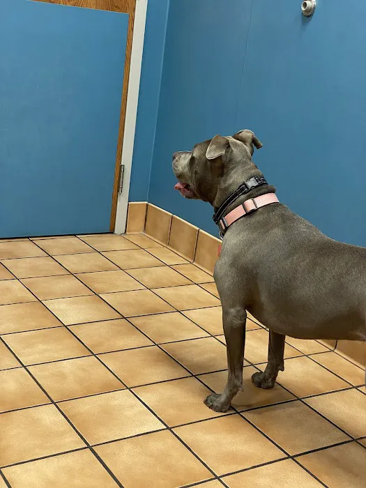 Westside Animal Hospital 12