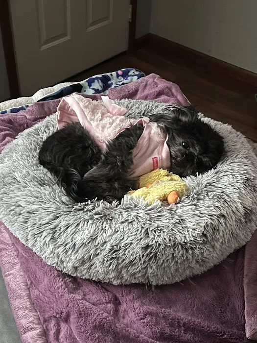 Westside Animal Hospital 12