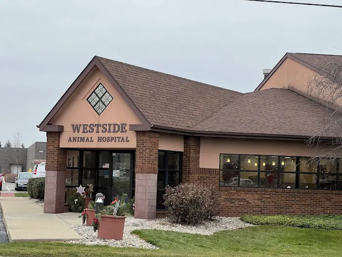 Westside Animal Hospital 12