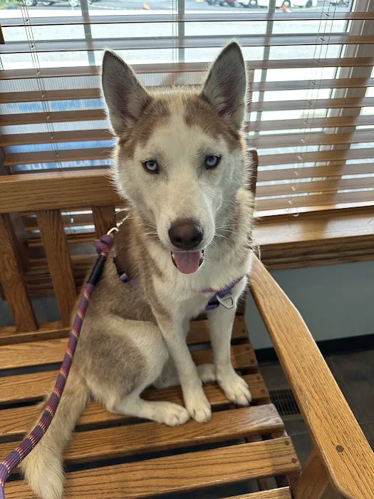 Grabill Veterinary Clinic 12
