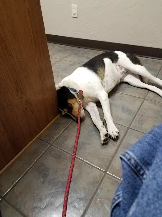 Grabill Veterinary Clinic 12