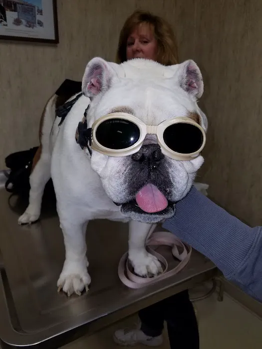 Stellhorn Veterinary Hospital 12