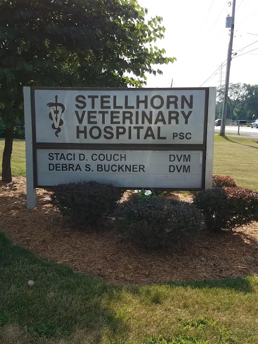 Stellhorn Veterinary Hospital 12