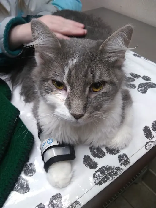 Banfield Pet Hospital 4