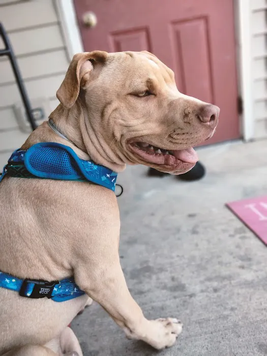 Banfield Pet Hospital 3