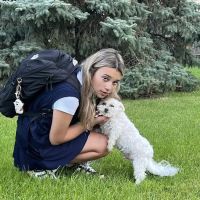 Aboite Animal Clinic & House Call Practice ico