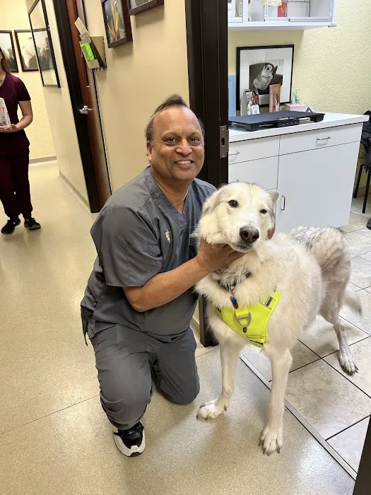 Aboite Animal Clinic & House Call Practice 12