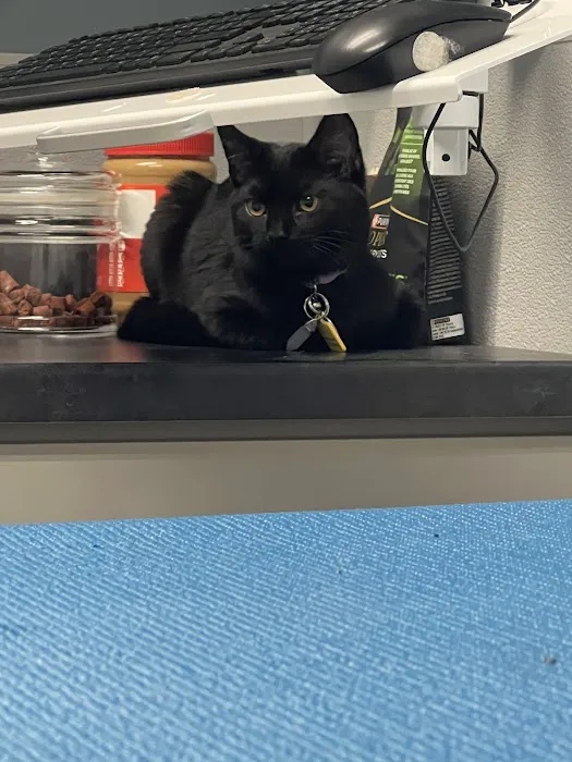 Covington Veterinary Hospital, Inc 6
