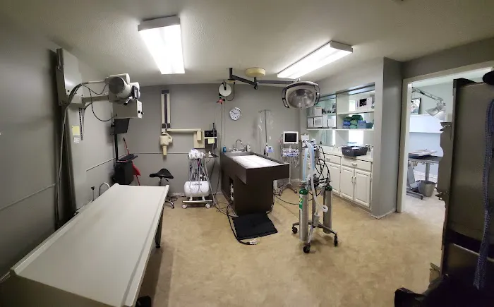 Covington Veterinary Hospital, Inc 9