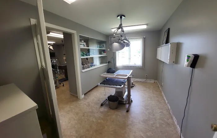 Covington Veterinary Hospital, Inc 3