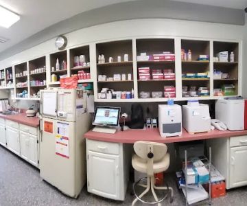 Covington Veterinary Hospital, Inc