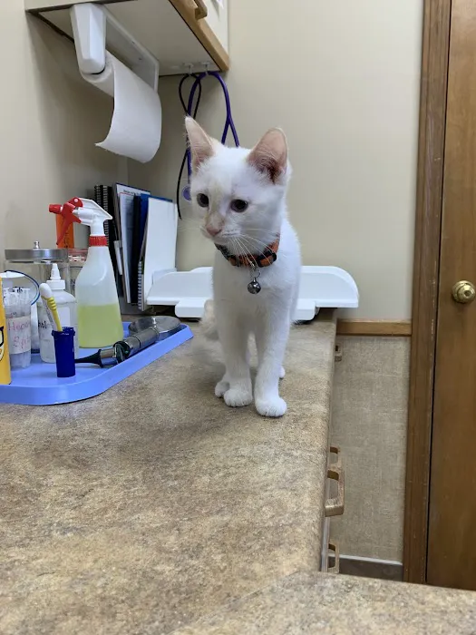 Animal Care Clinic Inc 12