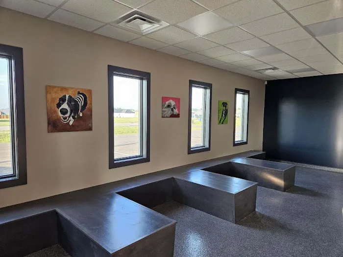 Animal Care Clinic Inc 12