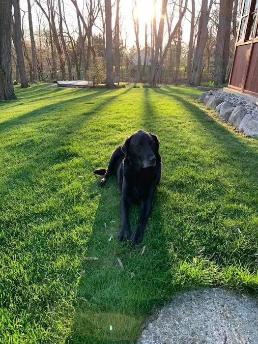 Auburn Hills Animal Hospital 7