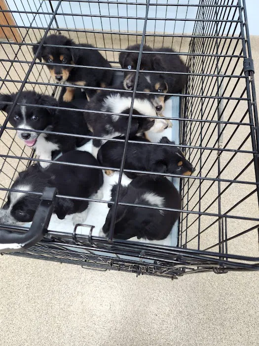 Kendallville Animal Clinic 9