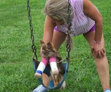 Kendallville Animal Clinic