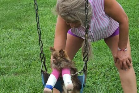 Kendallville Animal Clinic