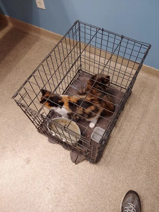 Kendallville Animal Clinic 7