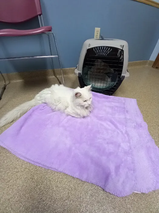 Kendallville Animal Clinic 3