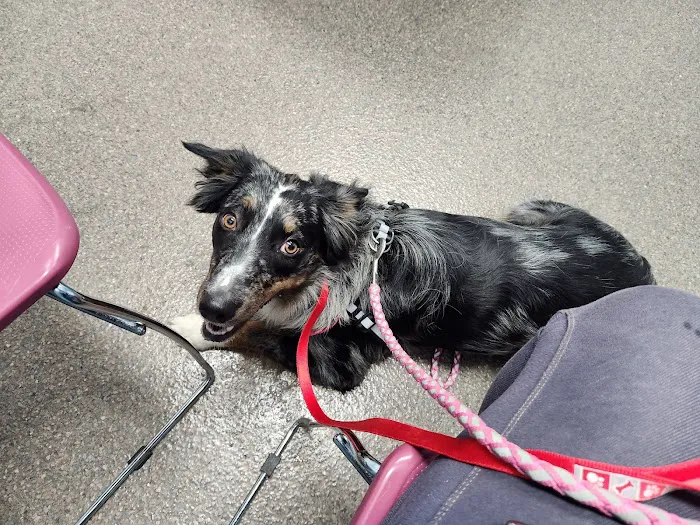 Kendallville Animal Clinic 8