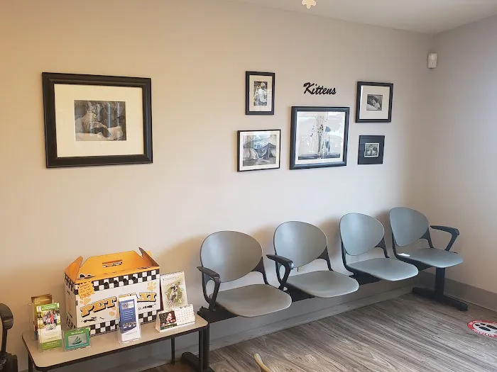 New Haven Pet Hospital 12