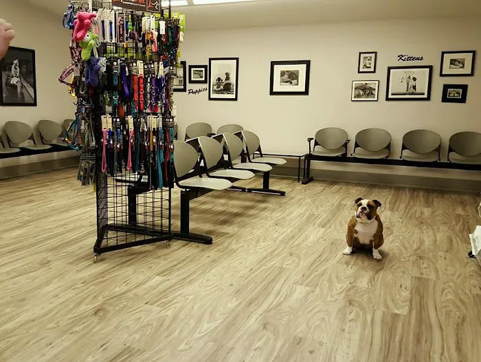 New Haven Pet Hospital 12