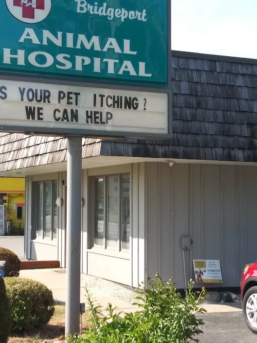 Bridgeport Animal Hospital 8