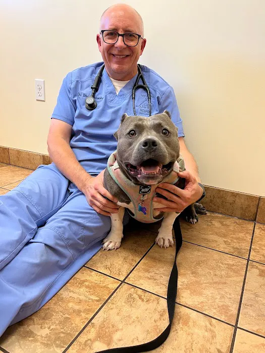 Bay Animal Hospital 6