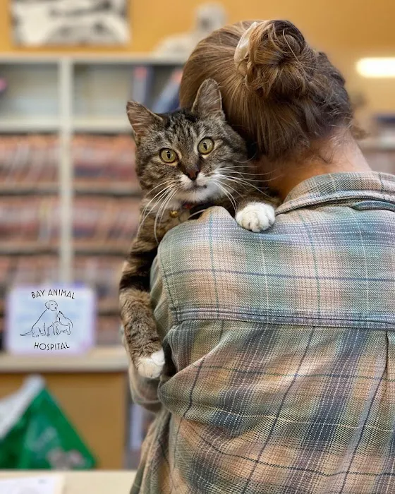 Bay Animal Hospital 5